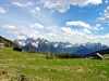 La corona di cime delle Dolomiti d\'Oltrepiave dal Palù Gran di Pian dei Buo