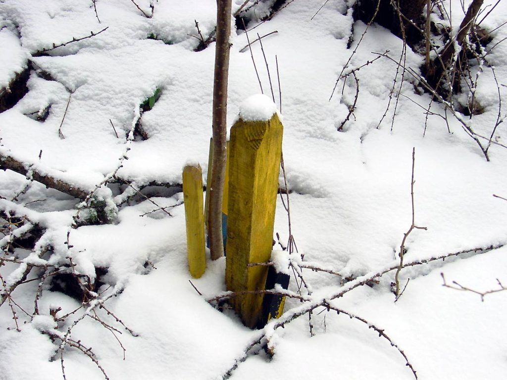 Paletti di confinazione tra la neve