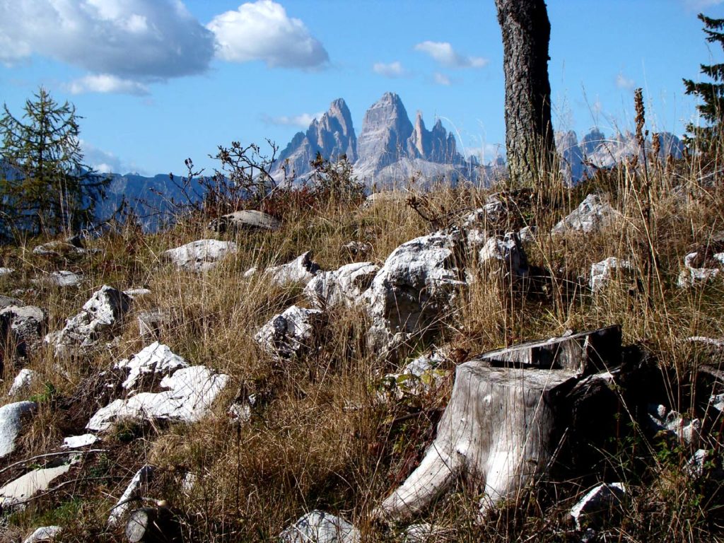 Tre Cime dai pressi del Forte Alto di Col Vidal