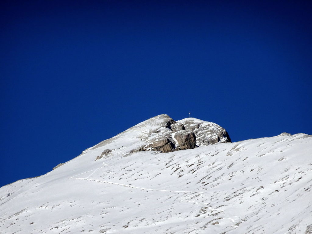 Picco di Vallandro dal piazzale del rifugio Vallandro