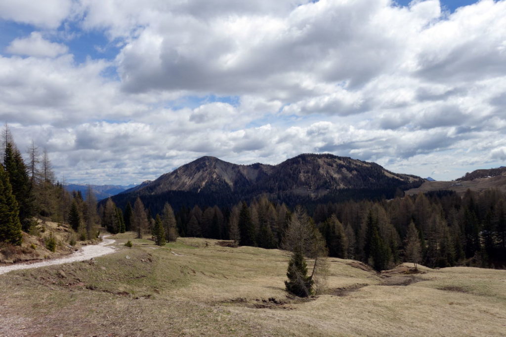 Col Cervera e Col di Rioda dai pressi della casera Sottopiova; verso destra Casera Razzo