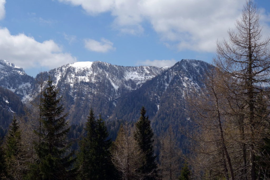 La Sella con la dorsale est del Col Rosolo e il M. Verna