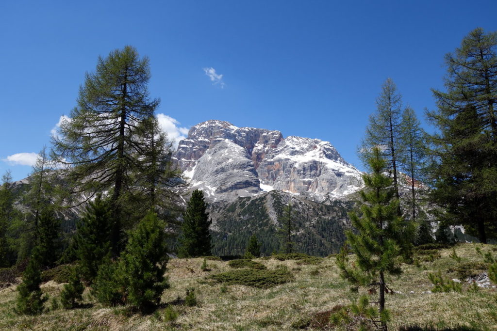 Croda Rossa dal sentiero n.40 che sale al Picco di Vallandro