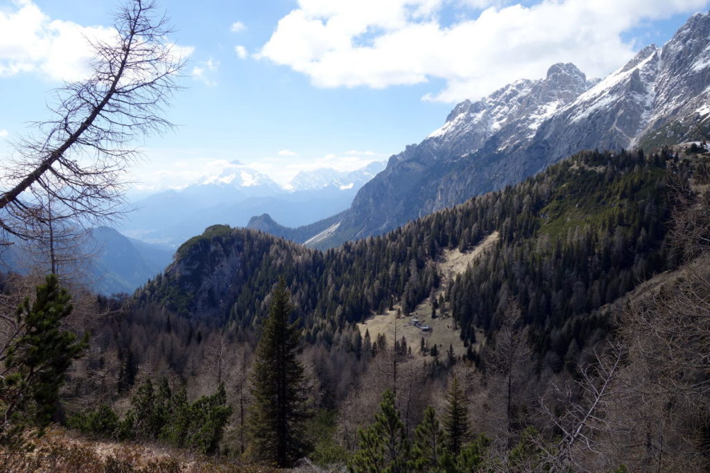 Casera Val da Rin salendo al M. Losco da forcella Camporosso