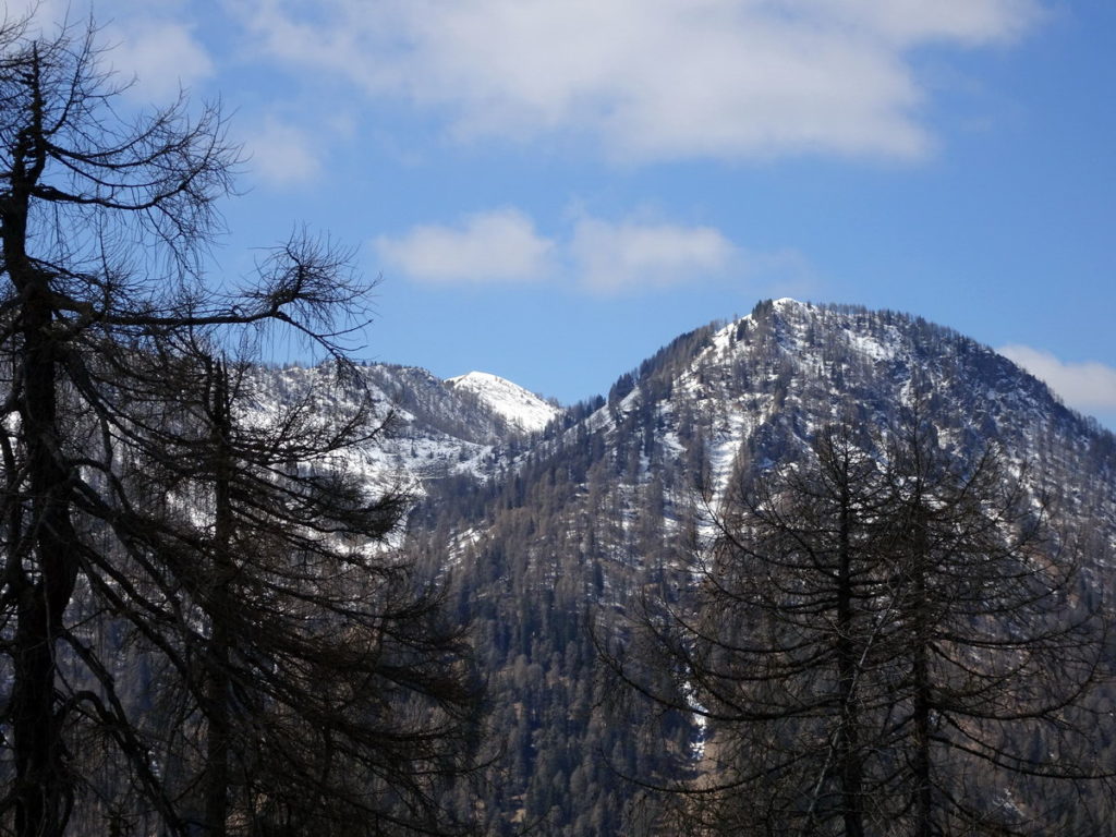 Monte Verna con la dorsale del COlrosolo a sinistra da casera Losco